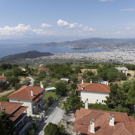 Iatrou House- Villa With Incredible View Πορταριά Εξωτερικό φωτογραφία