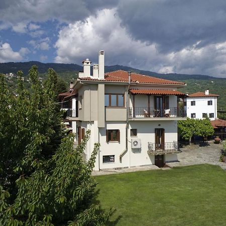 Iatrou House- Villa With Incredible View Πορταριά Εξωτερικό φωτογραφία