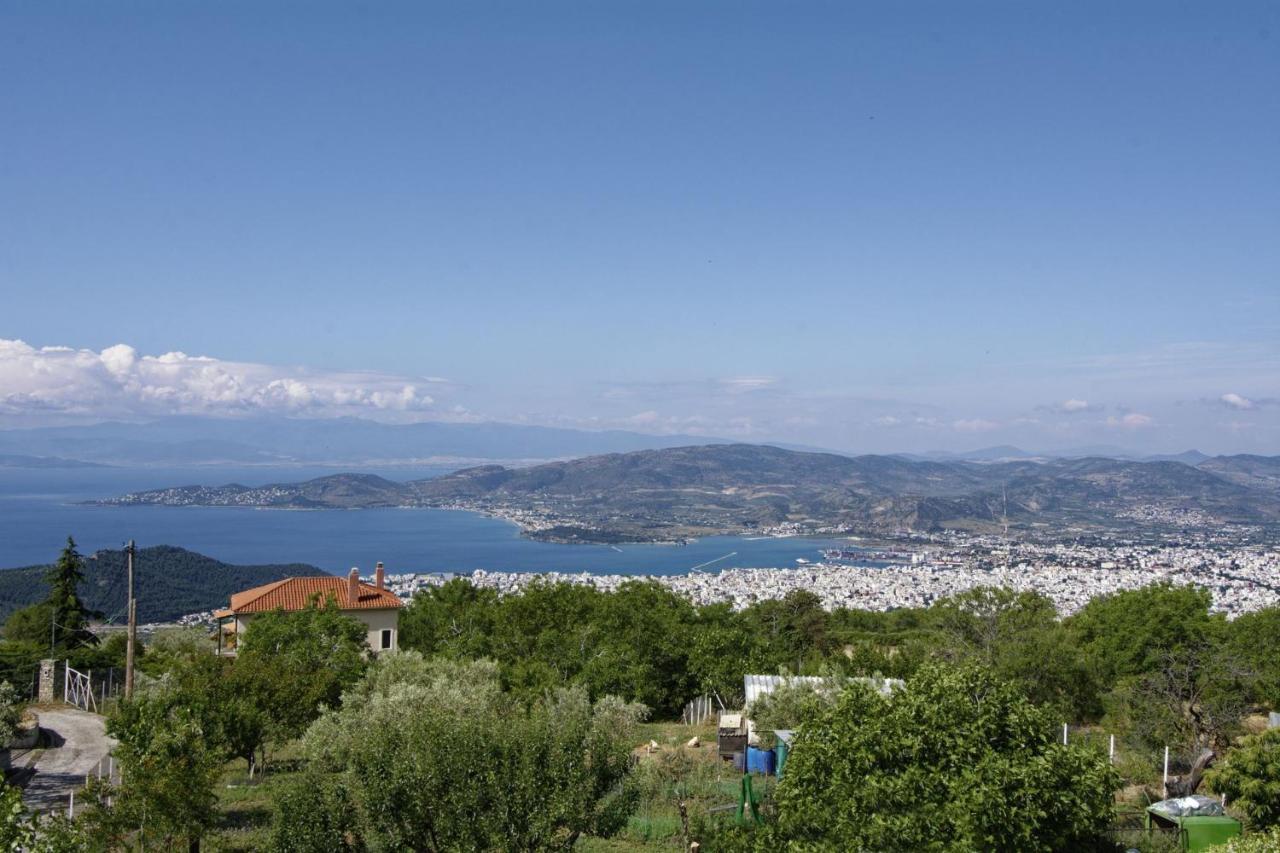 Iatrou House- Villa With Incredible View Πορταριά Εξωτερικό φωτογραφία