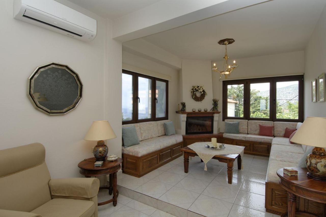 Iatrou House- Villa With Incredible View Πορταριά Εξωτερικό φωτογραφία